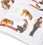 Dog Brain Games: Fun Activities for Mental Stimulation