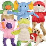 5 Pack Tough Plush Squeaky Dog Toys Bundle