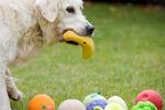 Petface Large Soft Chew Banana Dog Toy