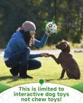 Interactive Dog Football Toy with Grab Tabs