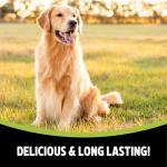 Rosewood Grain-Free Sweet Potato Dog Chews