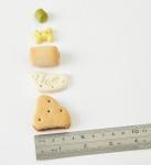 Biscuit Medley Dog Treats - 560 Biscuits