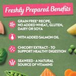 Harringtons Grain-Free Hypoallergenic Dog Food Variety Pack
