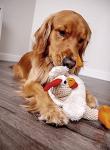 goDog Rooster Squeaky Plush Dog Toy - Large