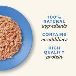 Applaws Natural Wet Cat Food, Fish Broth Variety