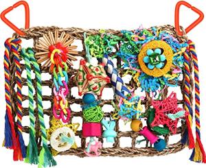 Colorful Bird Foraging Toys for Parrots and Conures
