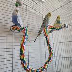 Colorful Rope Perch for Parrots and Cockatiels