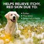 Vet's Best Allergy Relief Spray for Dogs 235ml