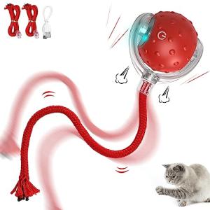 Interactive Electric Cat Toy for Hunting Fun
