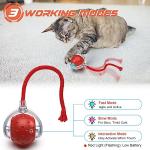 Interactive Electric Cat Toy for Hunting Fun