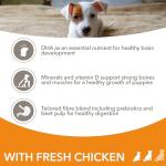 IAMS Complete Dry Dog Food for Puppies, Chicken 3kg