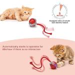 Interactive Electric Cat Toy for Hunting Fun