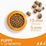 IAMS Complete Dry Dog Food for Puppies, Chicken 3kg