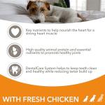 IAMS Senior Dog Food with DentalCare System 12kg