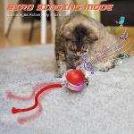 Interactive Electric Cat Toy for Hunting Fun