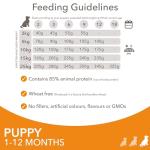 IAMS Complete Dry Dog Food for Puppies, Chicken 3kg