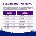 Wellness Complete Health Dry Dog Food, Large Breed
