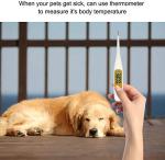 Comprehensive Pet First Aid Kit for Home and Travel