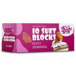 Berry Flavored Suet Blocks for Wild Birds 10-Pack
