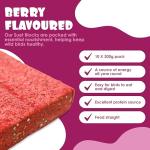 Berry Flavored Suet Blocks for Wild Birds 10-Pack