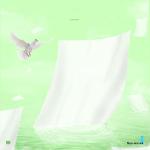 100 Disposable Bird Cage Liners for Parrots