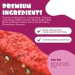 Berry Flavored Suet Blocks for Wild Birds 10-Pack