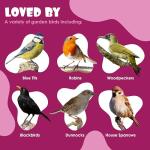 Berry Flavored Suet Blocks for Wild Birds 10-Pack