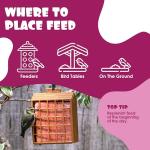 Berry Flavored Suet Blocks for Wild Birds 10-Pack
