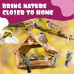 Berry Flavored Suet Blocks for Wild Birds 10-Pack