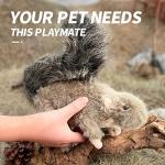 Classic Squirrel Pet Toy for Dogs and Cats