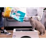 Sanicat Unscented Clumping Cat Litter - 10L