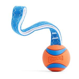 Chuckit! Ultra Tug Medium Dog Fetch Toy