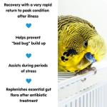 Avian Probiotic Health Tonic for Birds - 125g
