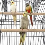 Rolling Bird Cage for Mid-Sized Parrots