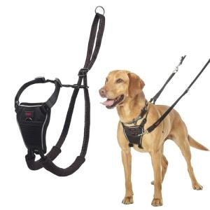 No-Pull Medium Dog Harness, Adjustable & Reflective