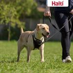 No-Pull Medium Dog Harness, Adjustable & Reflective