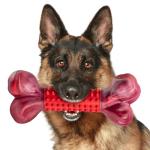 Durable Beef Flavor Chew Toy for Aggressive Dogs