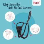 No-Pull Medium Dog Harness, Adjustable & Reflective