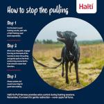 No-Pull Medium Dog Harness, Adjustable & Reflective