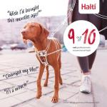 No-Pull Medium Dog Harness, Adjustable & Reflective
