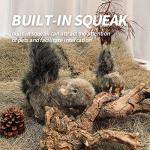 Classic Squirrel Pet Toy for Dogs and Cats