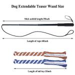 Extendable Flirt Pole Toy for Dogs and Cats