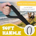 Looxmeer Nylon Long Dog Training Lead with Handle