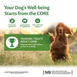 Wellness CORE Lamb & Apple Dog Training Treats
