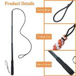 Extendable Flirt Pole Toy for Dogs and Cats