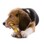 Nylabone Tough Chew Toy Bone for Dogs