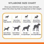 Nylabone Tough Chew Toy Bone for Dogs