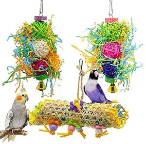 Bird Chewing and Foraging Toys for Parrots