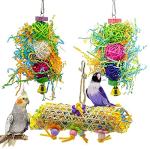 Bird Chewing and Foraging Toys for Parrots