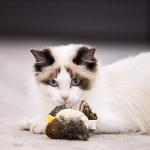 GiGwi Melody Chaser Plush Cat and Dog Toy